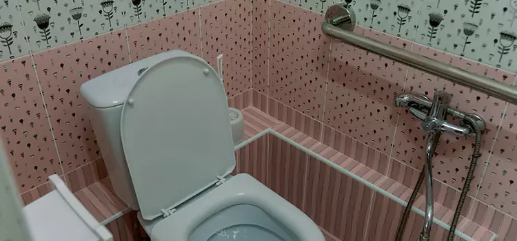Meeting Diverse Needs With Accessible Restroom Solutions in Poinciana, FL